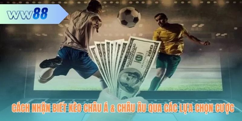 Cách nhận biết kèo châu Á Và châu Âu qua các lựa chọn cược